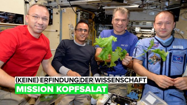 go to (Keine) ERFINDUNG DER WISSENSCHAFT: ein Gemüsegarten im Weltall