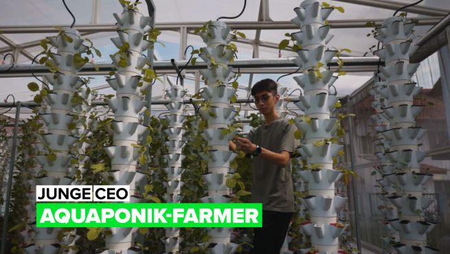 go to Junge CEO: Aquaponik-Farm