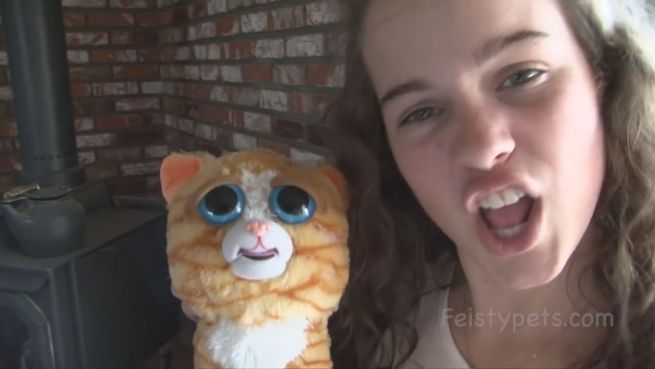 go to Fiese Fratze: Diese Kuscheltiere haben eine böse Seite