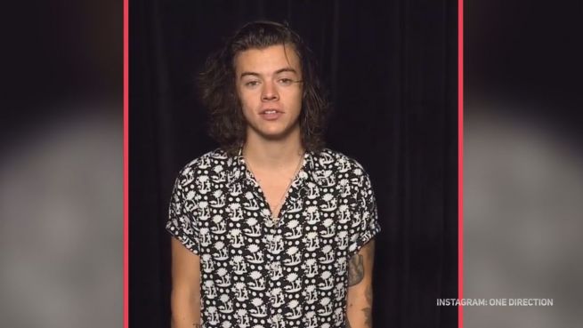 go to Glückspilz: Fast perfekte Woche für Harry Styles